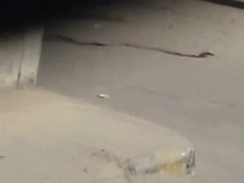 فري برس سقبا اطلاق الامن الرصاص على المتظاهرين 14 10 2011