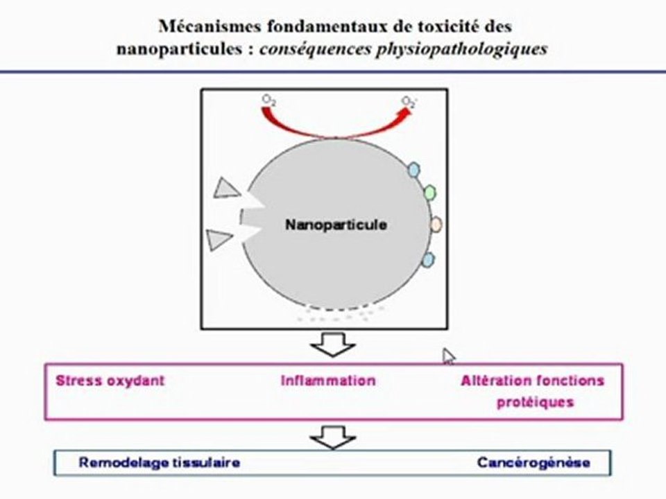 Jorge Boczkowski - Mécanismes fondamentaux de la toxicologie des nanoparticules