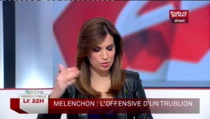 LE 22H,Delphine Batho