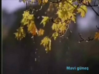 Nilufer  Donsen Bile Donsen Bile..