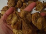 SAMRIOGLU EXPORT - Organic Dried figs