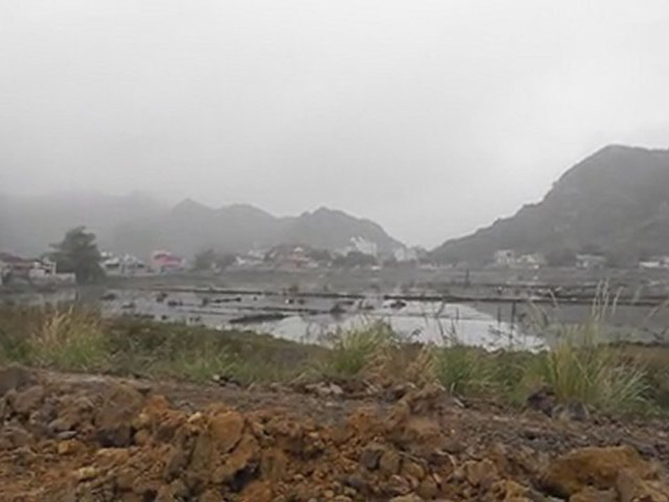 VIETNAM.Travail dans les rizières prés de Trang An;