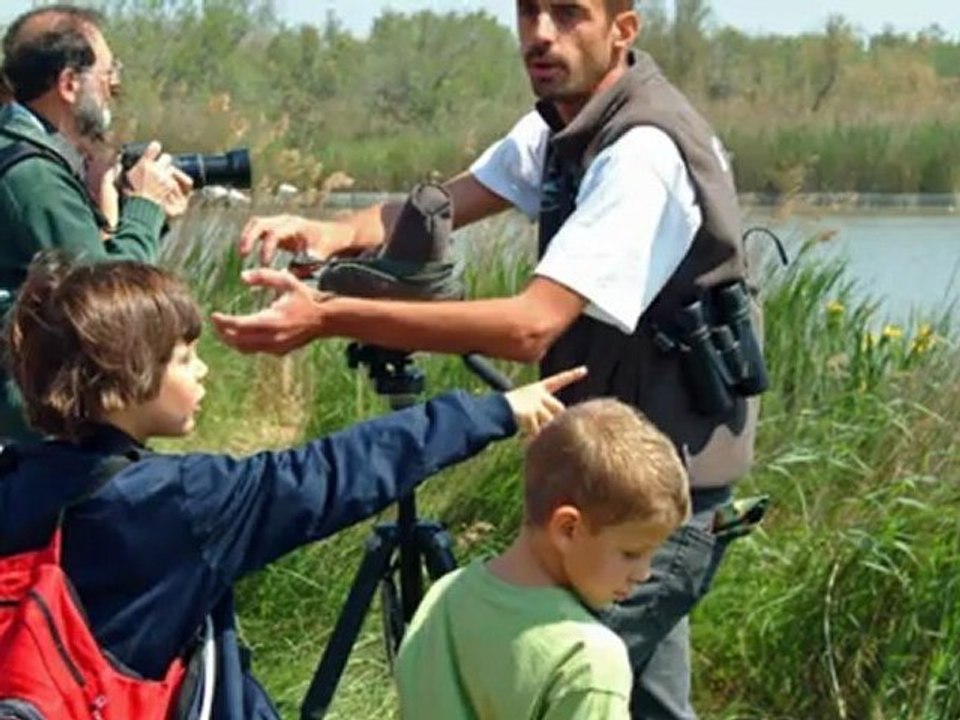 le parc ornithologique de Pont de Gau  Reflet de la Camargue