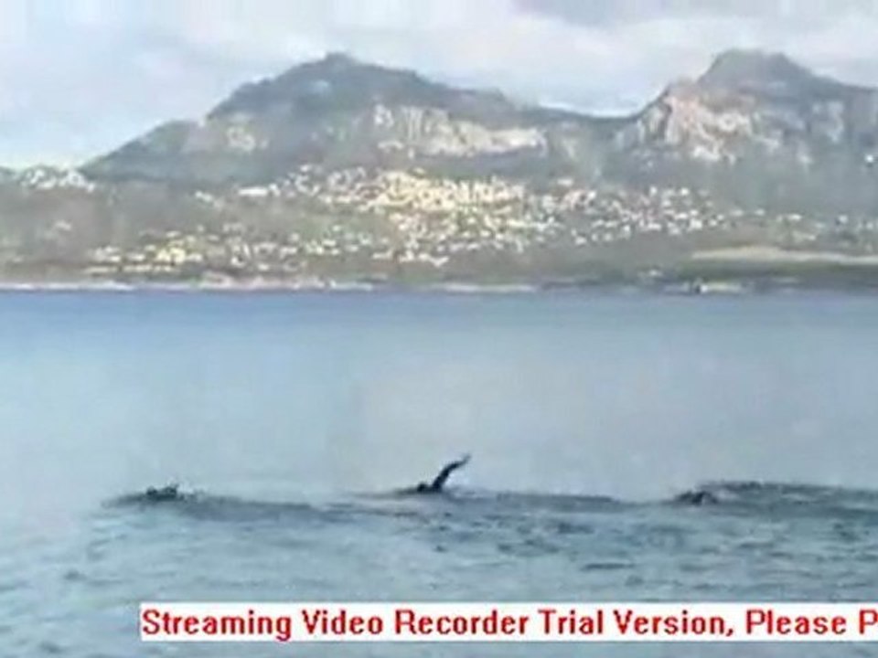 Calvi Tri 2012 - Reportage France 3