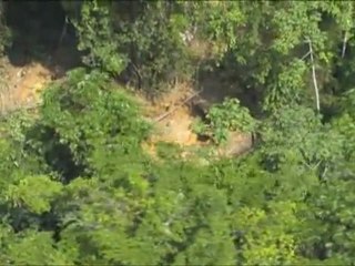 Survol d'exploitation d'or en Guyane avec Lucie Décosse