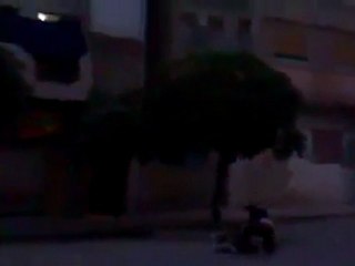 فري برس   حمص شهيد ينقذ شهيد 23 10 2011