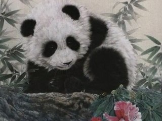 ßirdaha ßeni SEVDİGİNİ Soyleme!!