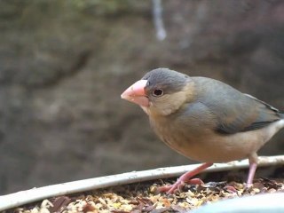 ÖmürDemiral - Garanti Bankası Reklamı