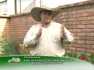 2_GANADERIA Y CENTRAL GENETICA BOGA 2 Enero 20 de 2012