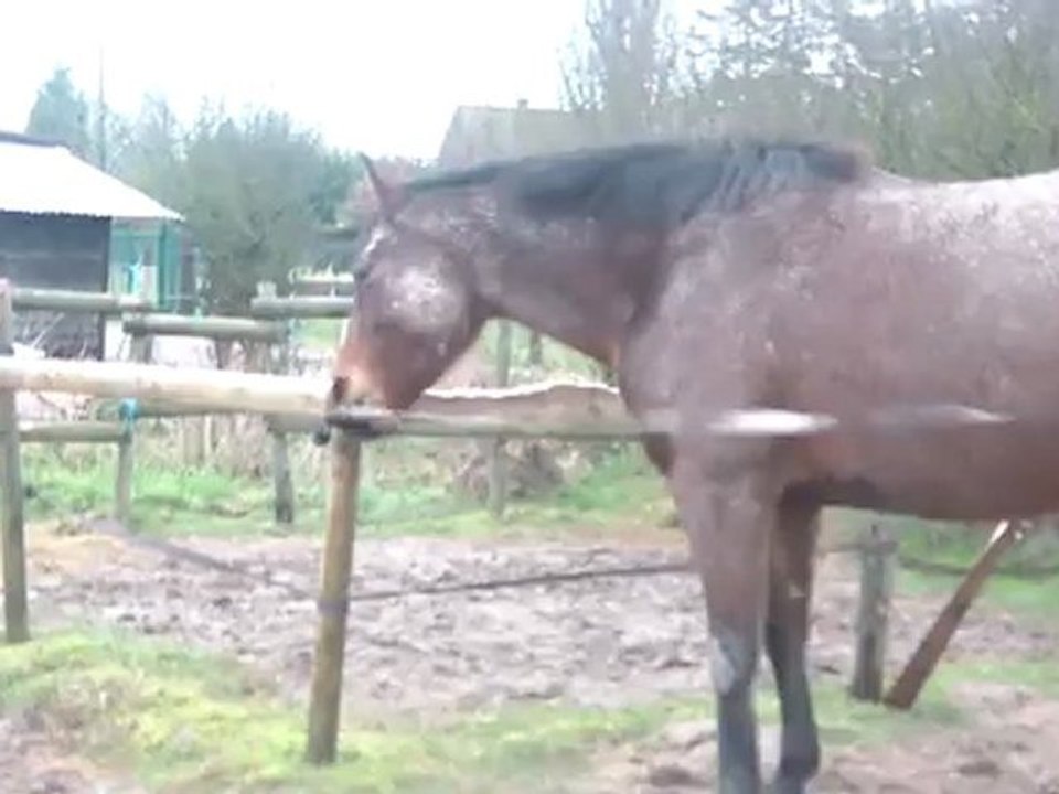 19.01.2012.tliloa