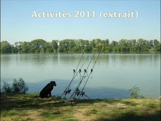 Activites 2011 (extrait)