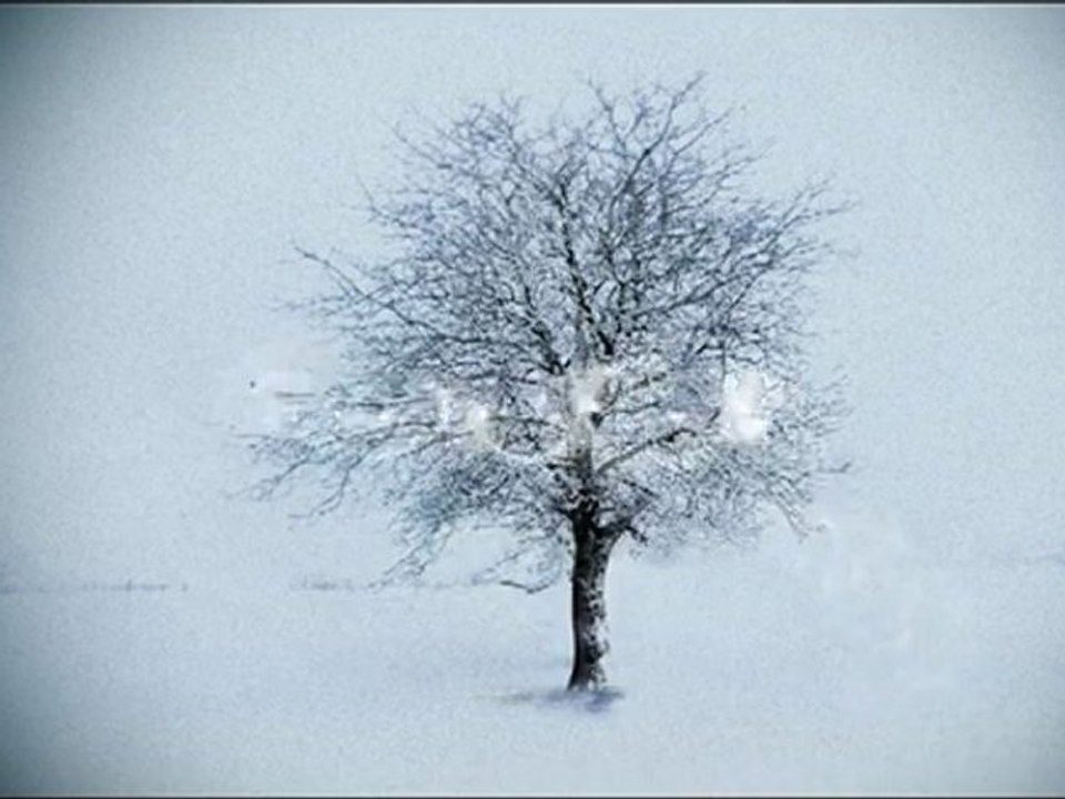 backtothetrees01