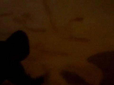 فري برس دمشق المهاجرين حملة الرجل البخاخ 26 10 2011