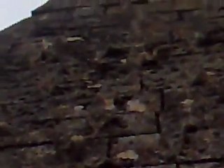 فري برس   البارة اثار الرصاص على المدافن الاثرية 28 10 2011