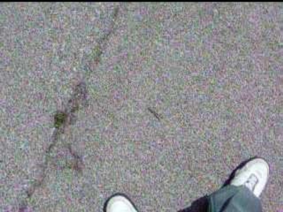 Atm0sfe4r me fait rever