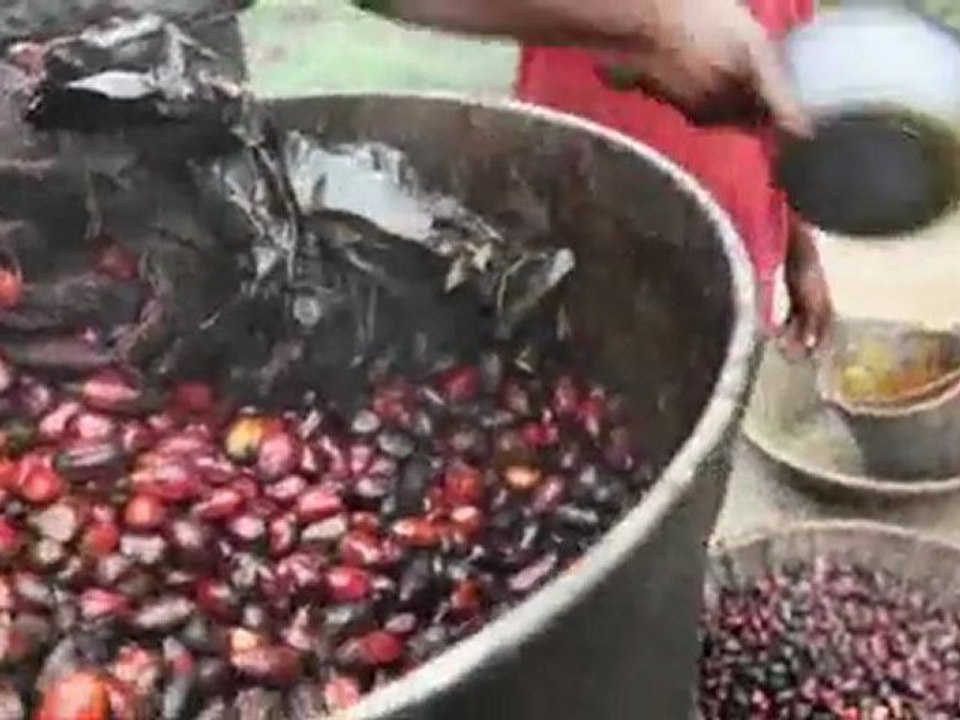 Fair Trade USA Unveils Redesigned Certification Label; Updates Multiple Ingredients Product Policy