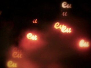 L'année 2011 en images - Rétrospective