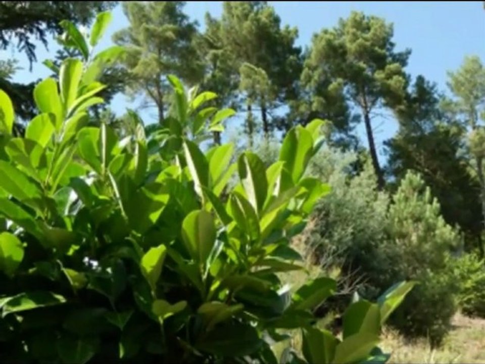 visitons le gard et l'ardèche