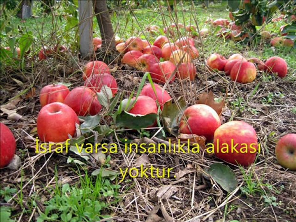 tasarruf1