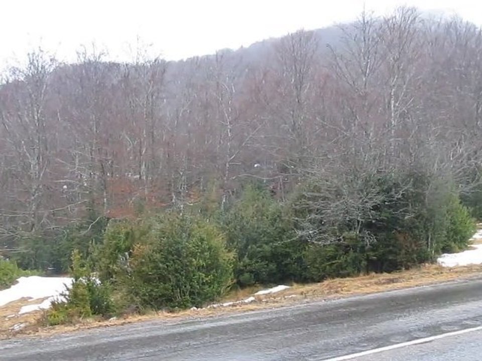 Monte Carlo 2012 le 20/01