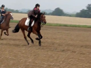 Grand galop dans les champs Clo et Steffie.