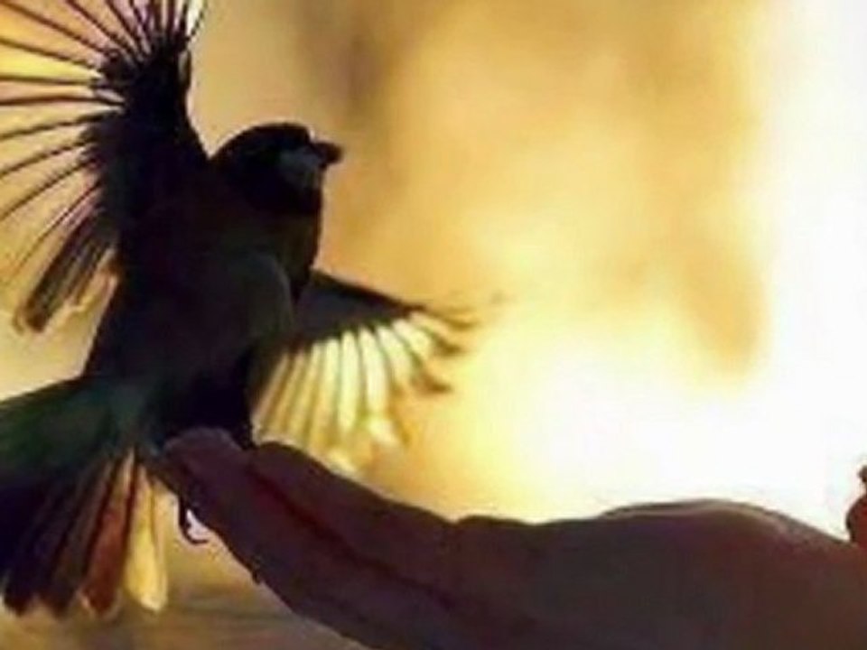 İLYAS SALMAN-EY İNSAN