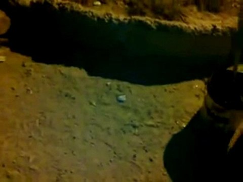 فري برس خربة غزالة حملة الرجل البخاخ اليومية ج2