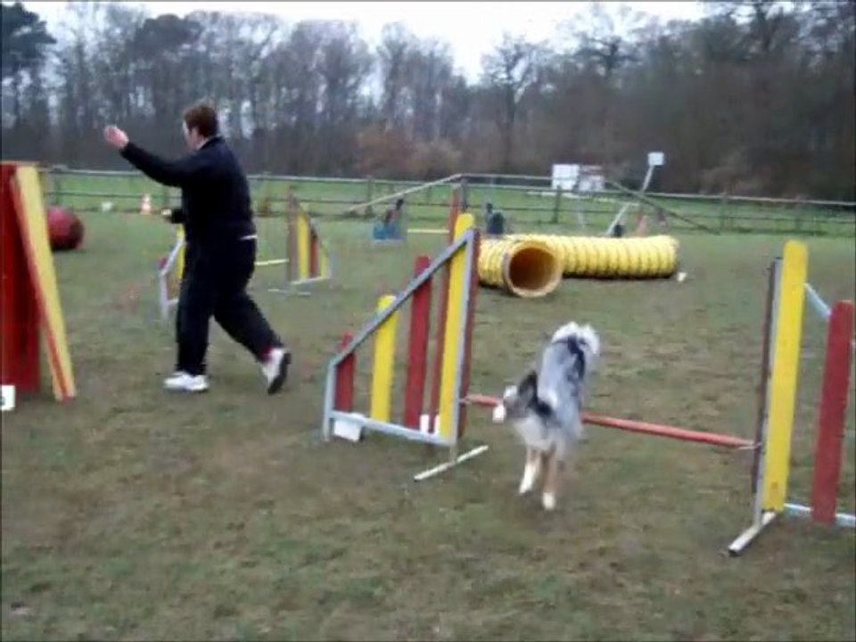 dove entrainement agility