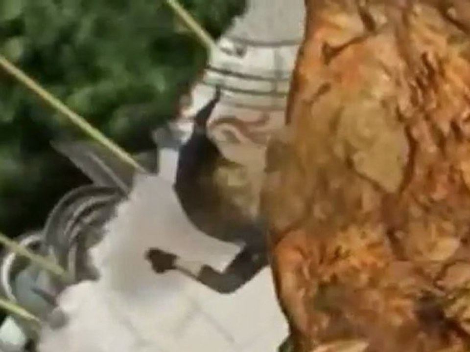 ღ ~ I Promise ~ ღ