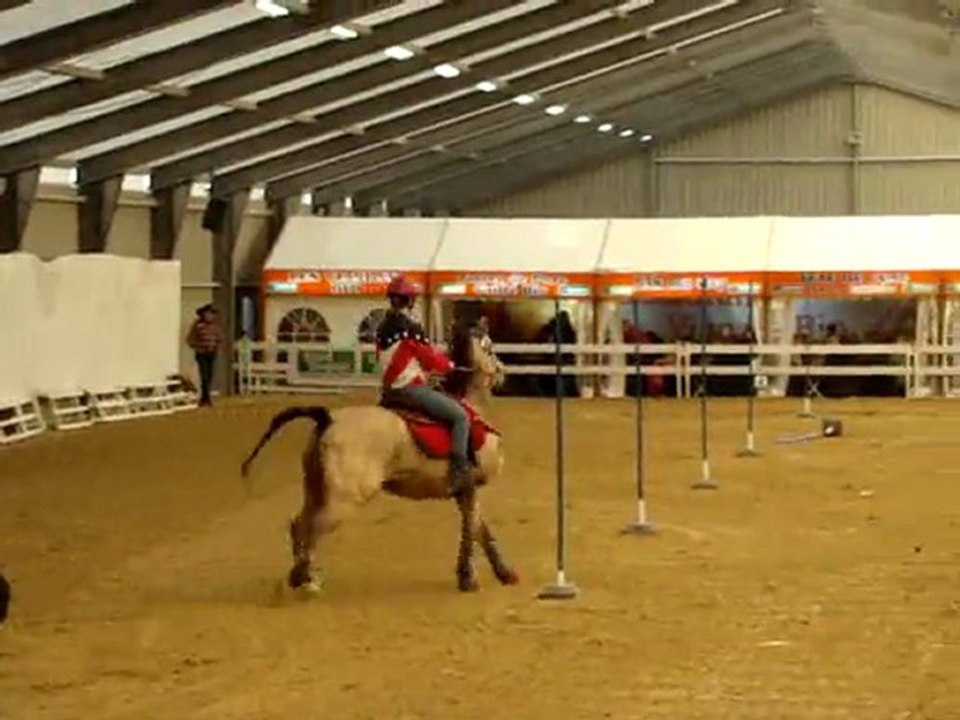 Pole bending Alicia - Tattooin