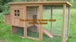 Backyard Chickens & Building Coops
