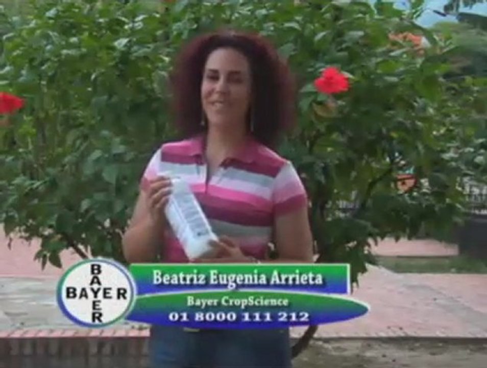 Segmento Técnico BAYER