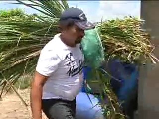 1_21 ENERO 2012 hda la independencia