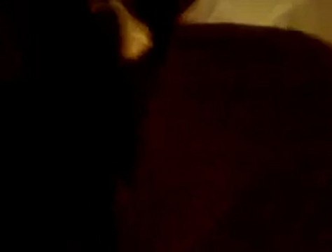 فري برس ابين 9 11 20111