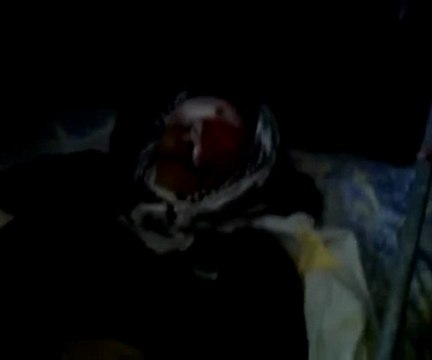 فري برس حماة حيالين الشهيد هيثم محمد ابوصافي الذي سقط برصاص عصابات الامن والشبيحة 10 11 2011