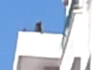 فري برس   حماه   القصور   11 11 2011 ج1