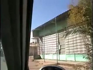 فري برس   المسيفرة   إضراب عام في البلدة 12 11 2011