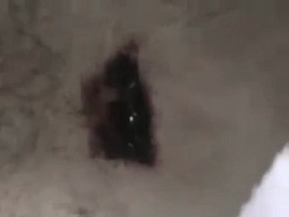 فري برس   الشهيد محمد علي الياسين رصاصة قناص العمر 48 عام 12 11 2011