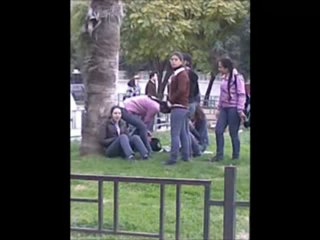 فري برس   مسيرات التأييد العفوية لطلاب المدارس ووجود الشبيحة 13 11 2011