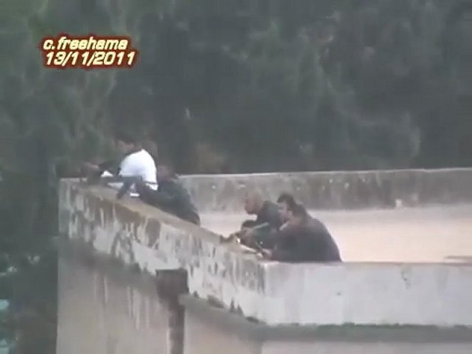 فري برس   حماه انتشار قناصة على سطح المركز الثقافي 13 11 2011