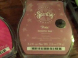 Scentsy February 2012 New Scentsy Warmer
