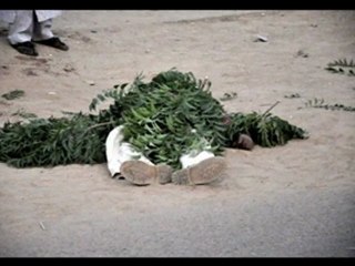 Bomb blasts hit Nigeria's Kano