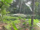Trivandrum Property Sale : Land for Sale at Puliyarakonam, Vattiyoorkavu, Trivandrum