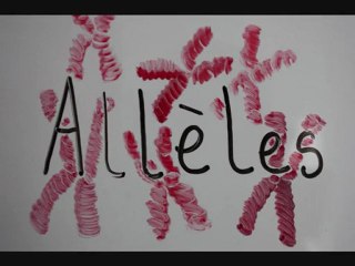alleles