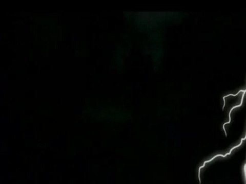 فري برس دمشق القديمة حملة الرجل البخاخ ومناشير الحرية 29 11 2011