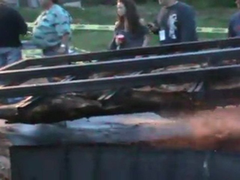 Clip 15