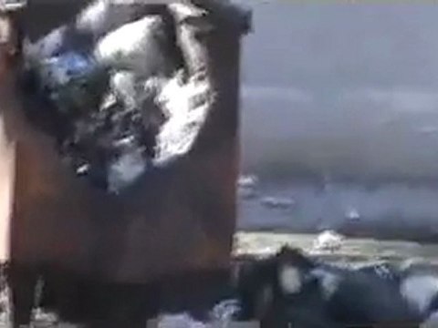 فري برس حتى حاويات القمامة لم تسلم منهم 16 12 2011