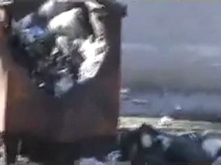 فري برس   حتى حاويات القمامة لم تسلم منهم 16 12 2011