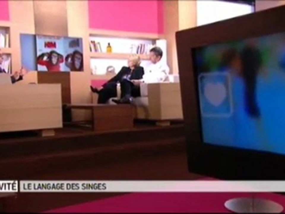 le langage du singe