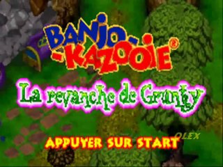 Banjo-Kazooie - La Revanche de Grunty (FR-GBA)